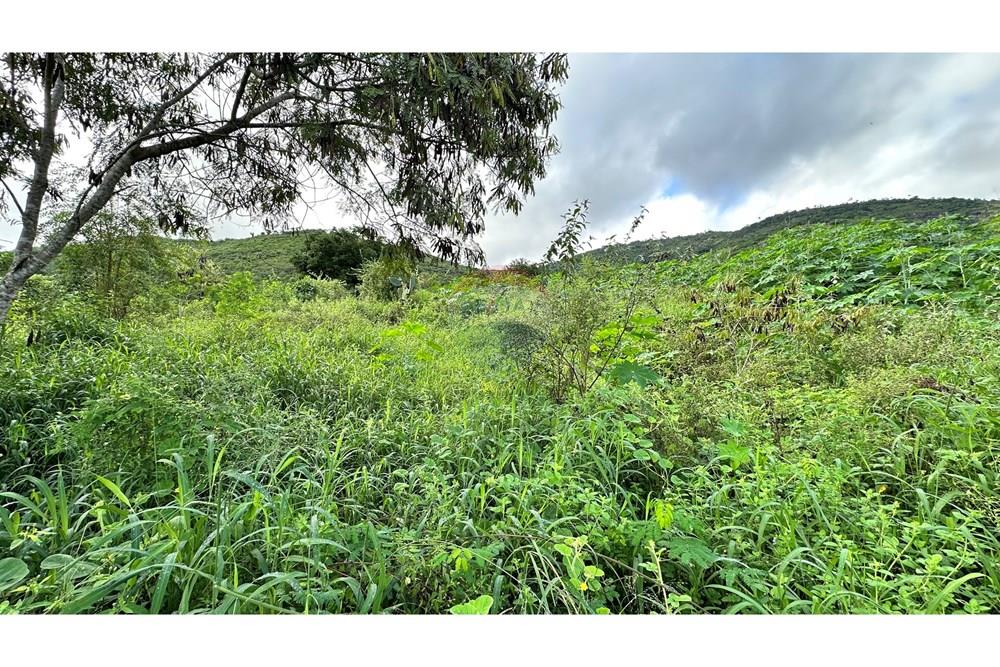 Chácara / Sítio / Fazenda - Venda - Jequié , Bahia - image00022.jpeg - 580731023-47