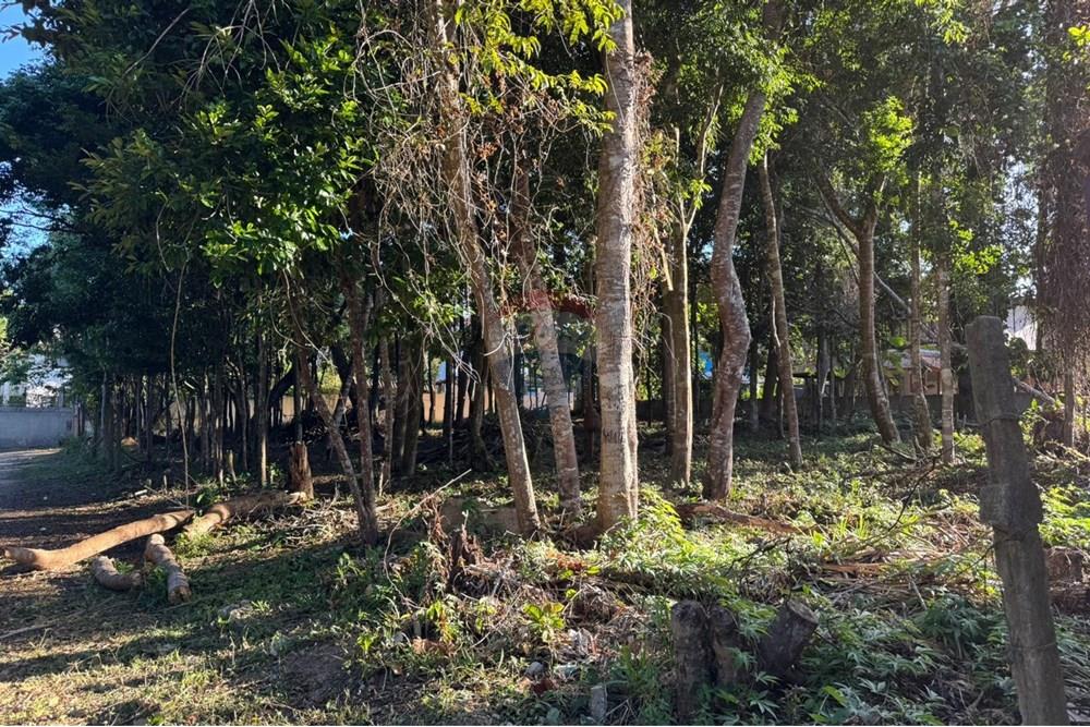 Terreno - Venda - Porto Seguro , Bahia - 6d49814c-a7aa-4c53-b77c-18747a705360.jpg - 580581002-126