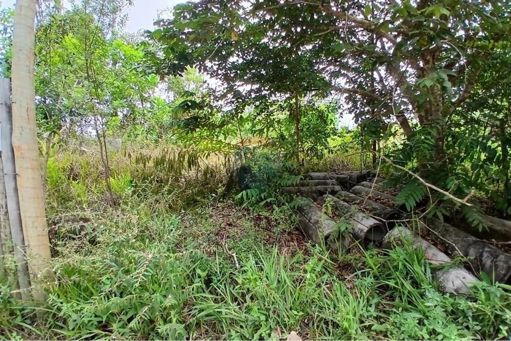 Terreno - Venda - Porto Seguro , Bahia - bela vista (1).jpeg - 580581006-79