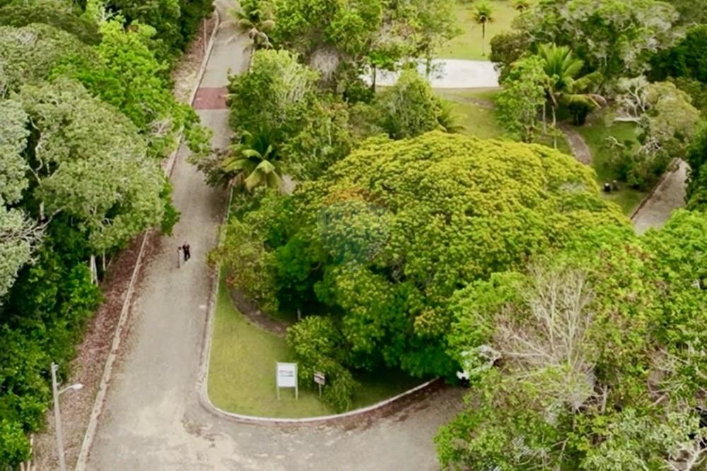 Terreno - Venda - Porto Seguro , Bahia - WhatsApp Image 2026-01-14 at 13.36.12 (5).jpeg - 580581012-107