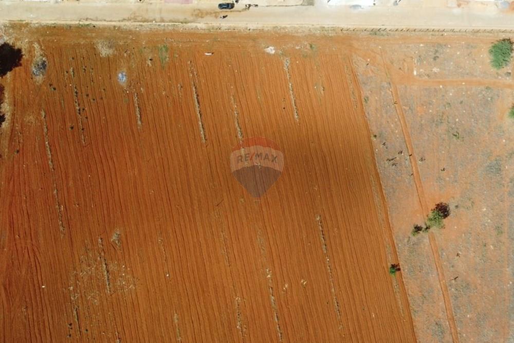 Terreno - Venda - São Gabriel , Bahia - DJI_0267.JPG - 580841006-21