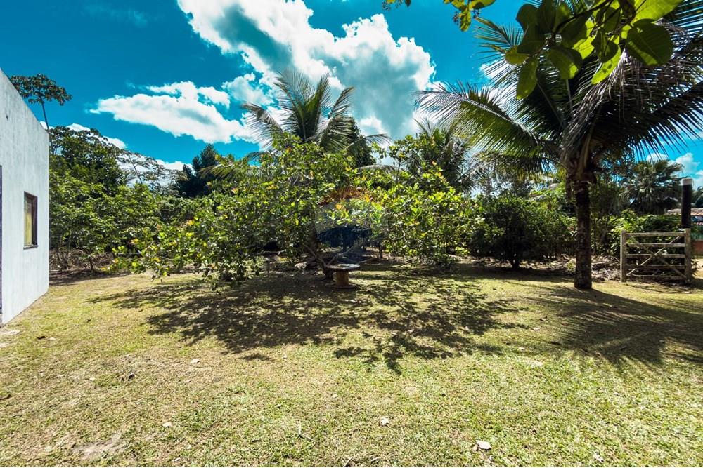 Chácara / Sítio / Fazenda - Venda - Santo Antônio de Jesus , Bahia - IMG_2387.jpg - 580341015-104