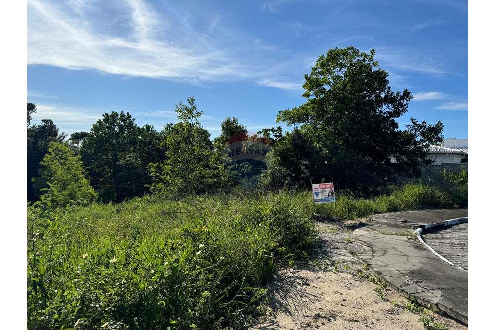 Terreno - Venda - Porto Seguro , Bahia - IMG_7715.jpg - 580531005-94