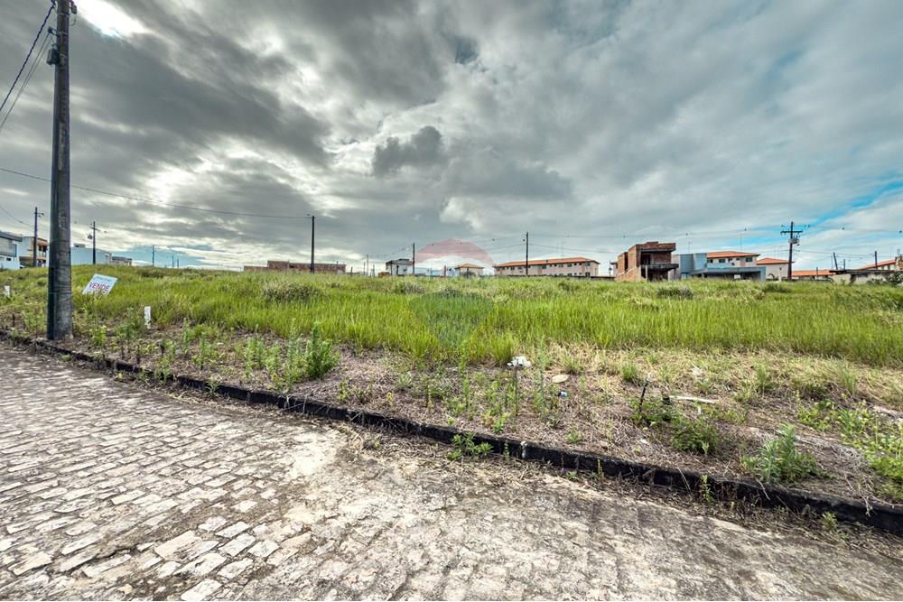 Terreno - Venda - Santo Antônio de Jesus , Bahia - IMG_8582.jpg - 580341053-18