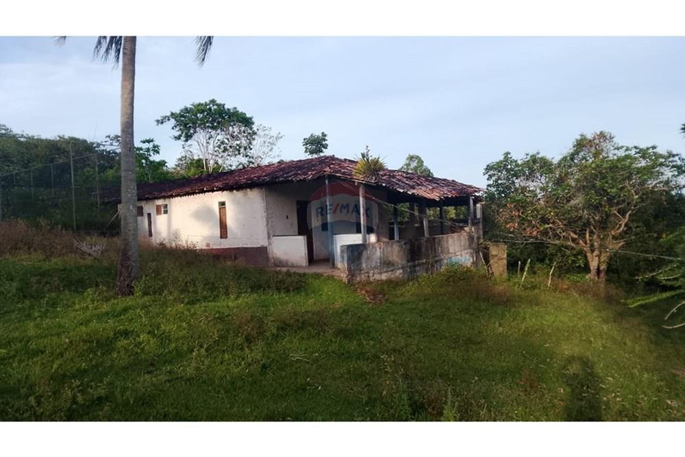 Chácara / Sítio / Fazenda - Venda - Alagoinhas , Bahia - WhatsApp Image 2025-11-09 at 19.24.52 (3).jpeg - 580701044-55