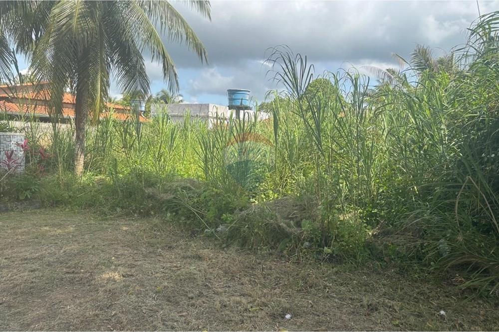 Terreno - Venda - Vera Cruz , Bahia - WhatsApp Image 2026-02-26 at 12.31.23(1).jpeg - 580551067-117