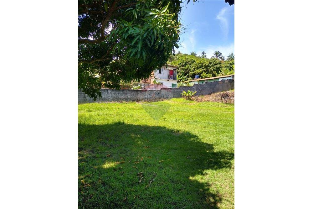 Casa - Amoreira