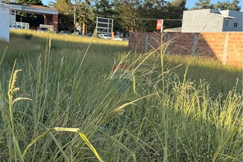 Terreno - Venda - Vitória da Conquista , Bahia - WhatsApp Image 2025-06-09 at 19.45.05.jpeg - 580831019-9