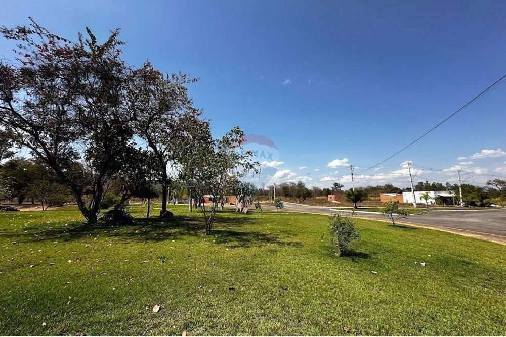 Residential - Land - Barreiras , Bahia - BR - IMG-20241117-WA0007.jpg - 580651049-89