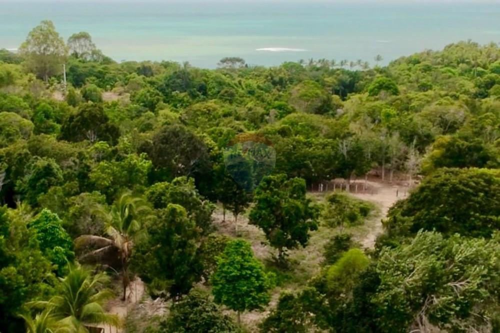 Terreno - Venda - Trancoso , Bahia - WhatsApp Image 2026-01-14 at 08.41.58 (13).jpeg - 580581012-109