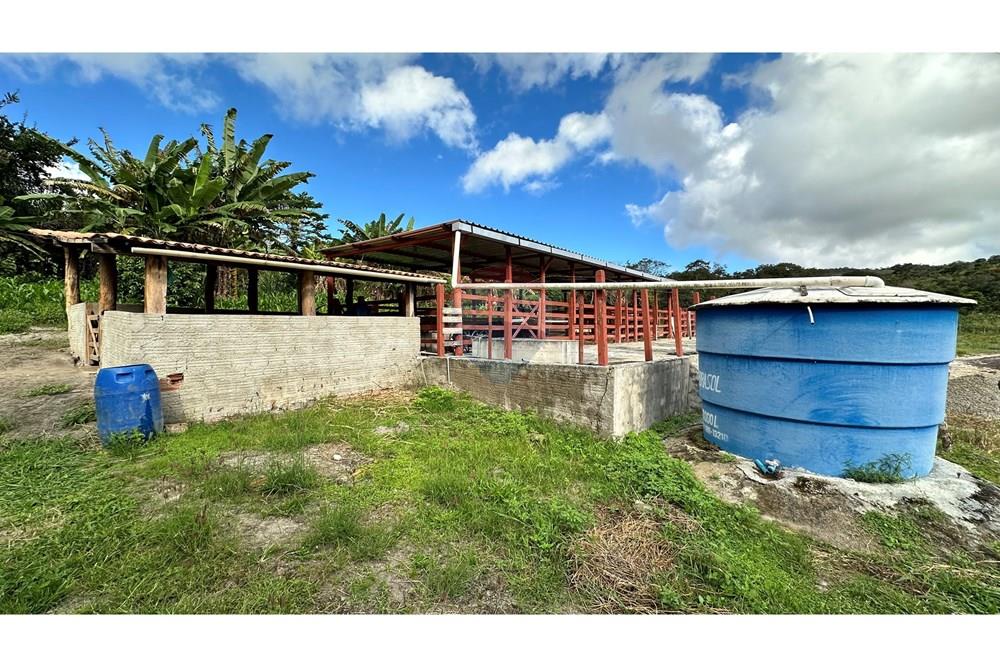 Chácara / Sítio / Fazenda - Venda - Jequié , Bahia - image00046.jpeg - 580731023-59