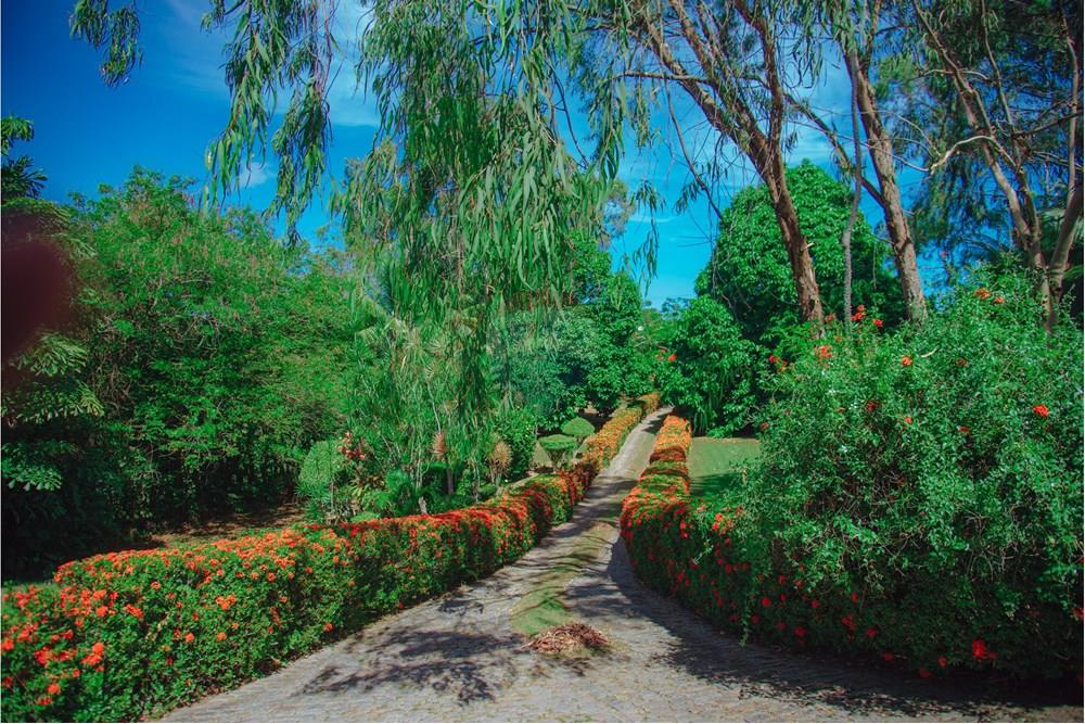 Casa - Venda - Lauro de Freitas , Bahia - DSC_6476.jpg - 580541079-16