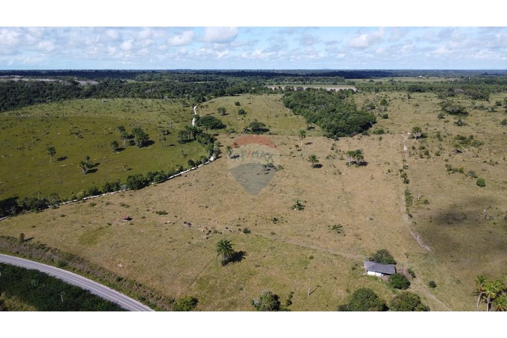 Chácara / Sítio / Fazenda - Venda - Porto Seguro , Bahia - DJI_0586.JPG - 580531040-12