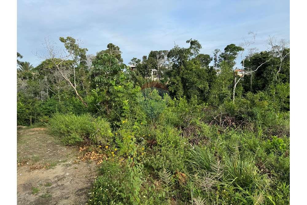 Terreno - Venda - Porto Seguro , Bahia - IMG_7771.jpg - 580531004-112