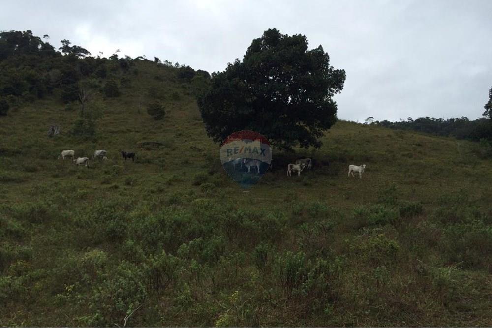 Chácara / Sítio / Fazenda - Venda - Jaguaquara , Bahia - 19.jpeg - 580731023-133