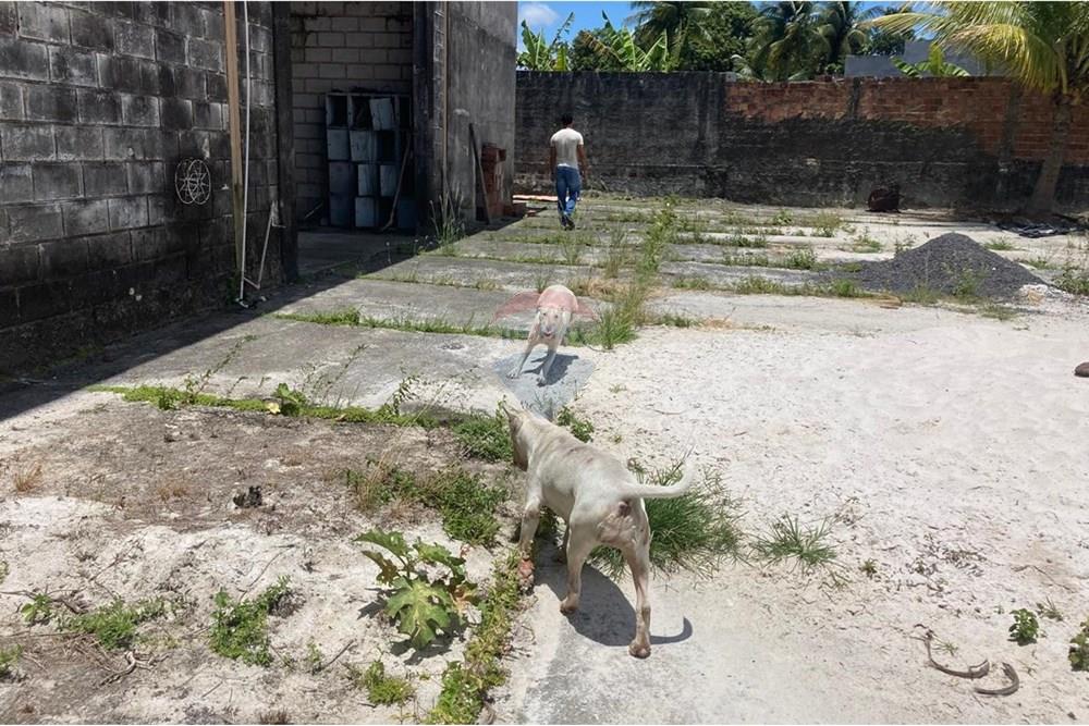 Galpão - Venda - Dias d'Ávila , Bahia - ft area 3.jpg - 580721009-102