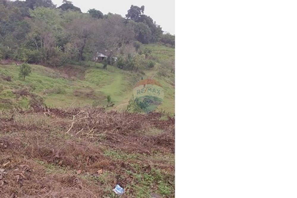 Chácara / Sítio / Fazenda - Venda - Ilhéus , Bahia - WhatsApp Image 2025-08-03 at 12.45.07.jpeg - 580831002-188