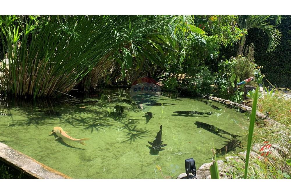 Apartamento - Venda - Salvador , Bahia - IMG_5977.jpg - 580761044-14