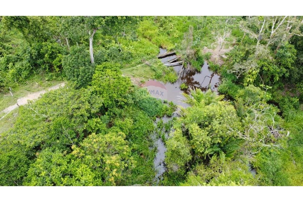 Chácara / Sítio / Fazenda - Venda - Itamaraju , Bahia - WhatsApp Image 2025-02-23 at 10.01.55.jpeg - 580751001-262