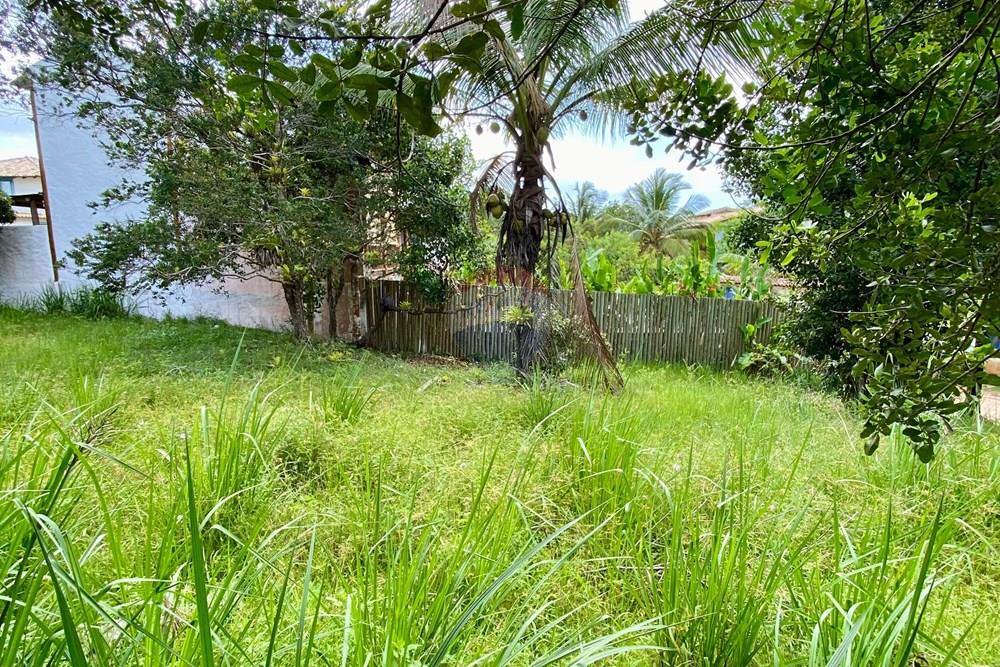 Terreno - Venda - Trancoso , Bahia - WhatsApp Image 2026-01-14 at 10.24.00 (3).jpeg - 580581012-110