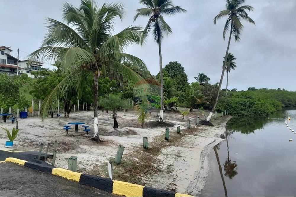 Terreno - Venda - Camaçari , Bahia - WhatsApp Image 2025-06-28 at 09.31.15.jpeg - 580541020-54