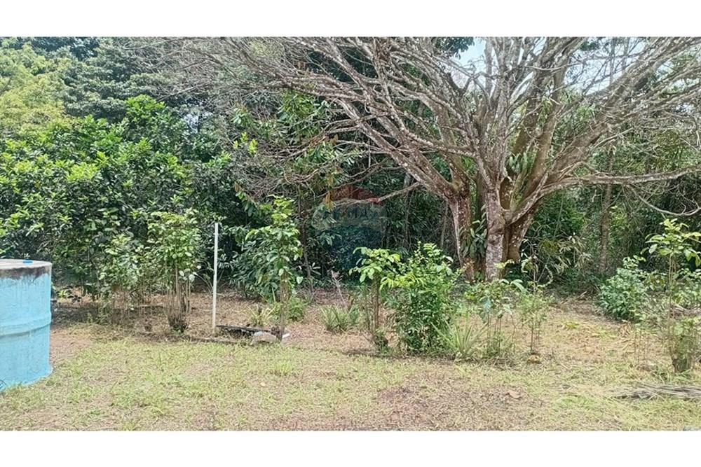 Chácara / Sítio / Fazenda - Alugar - Camaçari , Bahia - WhatsApp Image 2025-10-15 at 14.32.47.jpeg - 580331013-753