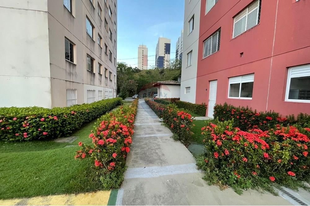 Apartamento - Alugar - Salvador , Bahia - IMG-20251213-WA0002.jpg - 580421082-28