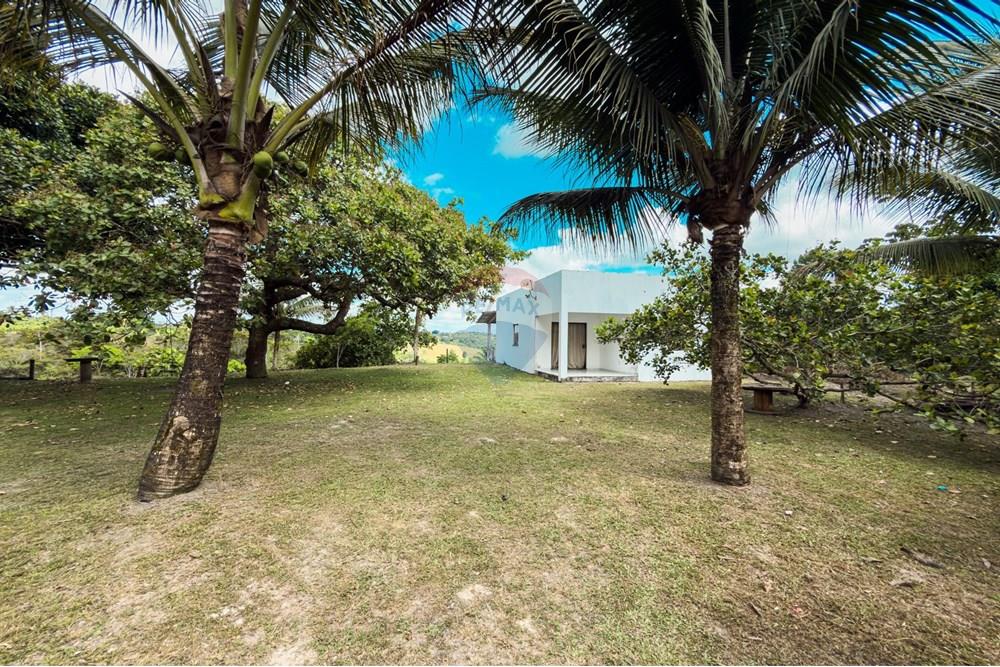 Chácara / Sítio / Fazenda - Venda - Santo Antônio de Jesus , Bahia - IMG_2399.jpg - 580341015-104