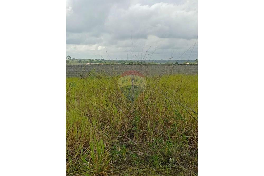 Terreno - Venda - Santo Antônio de Jesus , Bahia - WhatsApp Image 2026-03-17 at 11.53.21 (1).jpeg - 580341019-70