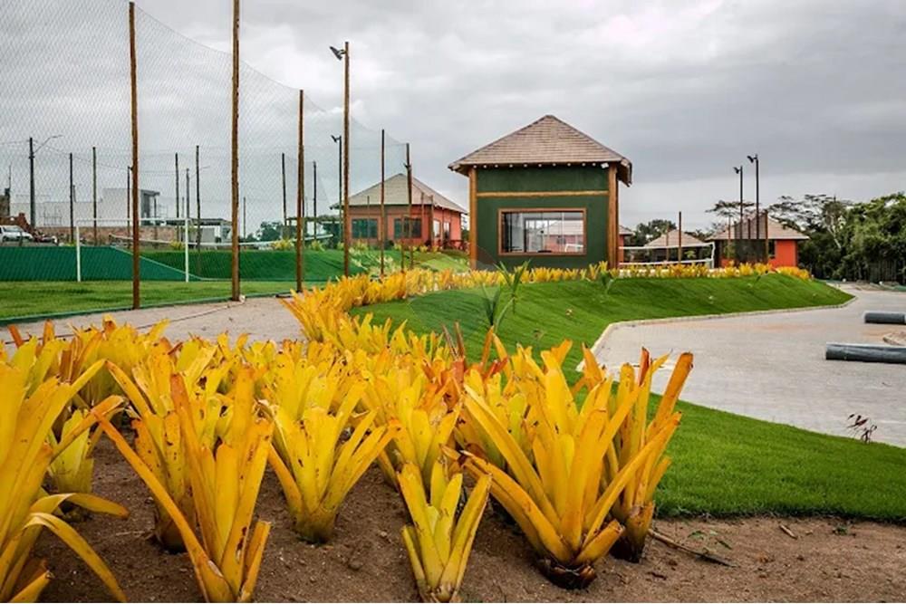 Terreno - Venda - Teixeira de Freitas , Bahia - 2024-11-05 (2).jpg - 580411003-270