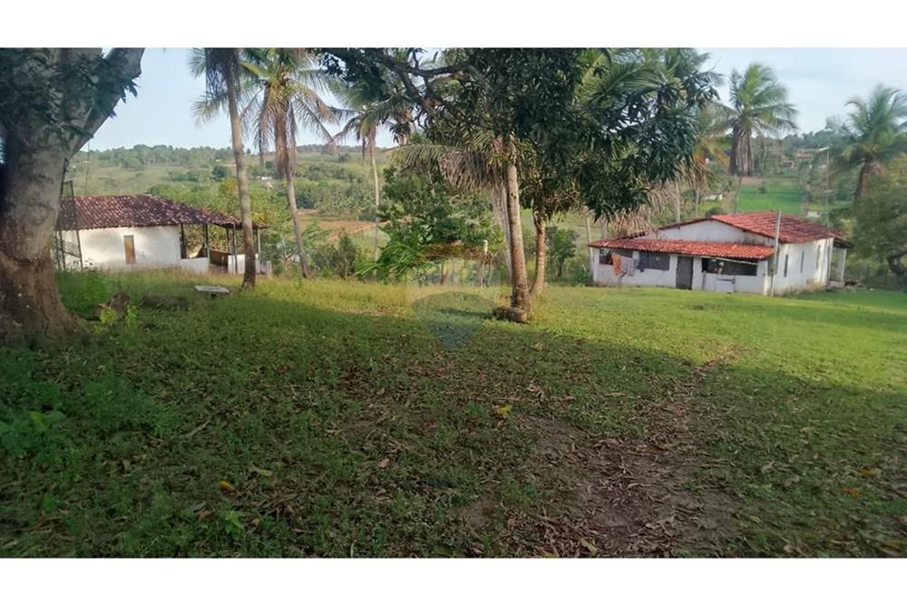 Chácara / Sítio / Fazenda - Venda - Alagoinhas , Bahia - WhatsApp Image 2025-11-09 at 19.24.51 (2).jpeg - 580701044-55