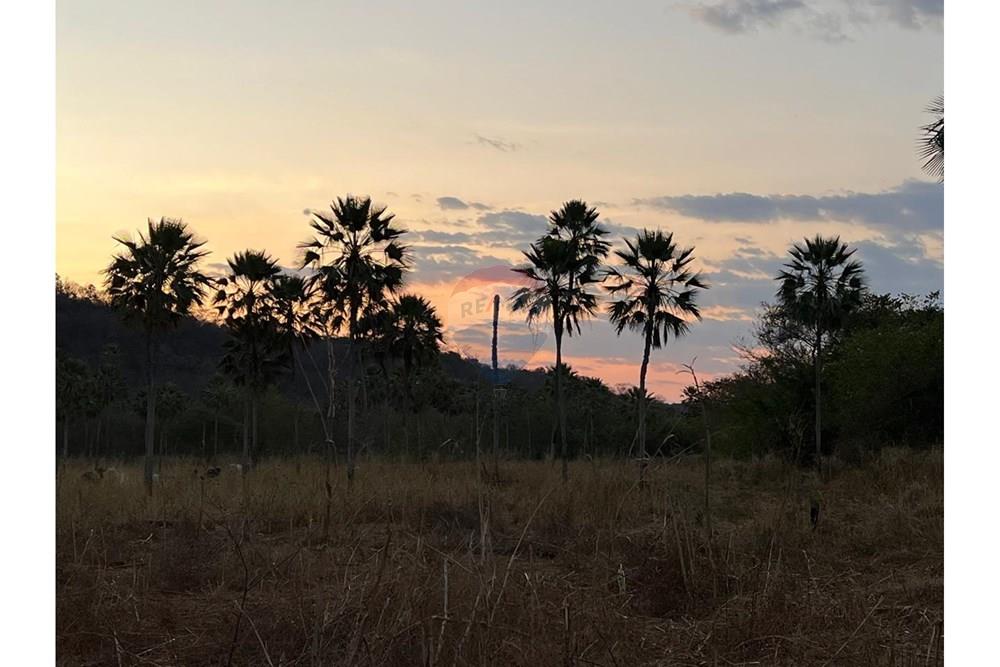 Fazenda - Venda - Aroazes , Piauí - Imagem do WhatsApp de 2025-09-30 à(s) 12.15.04_59ff4a31.jpg - 580791016-19