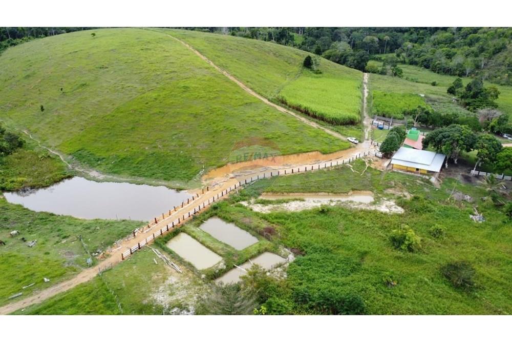 Chácara / Sítio / Fazenda - Venda - Itamaraju , Bahia - WhatsApp Image 2025-02-23 at 10.01.56 (3).jpeg - 580751001-262