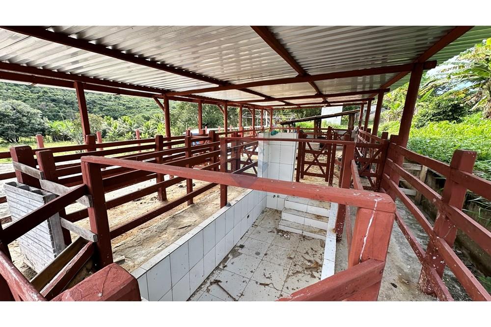 Chácara / Sítio / Fazenda - Venda - Jequié , Bahia - image00049.jpeg - 580731023-59