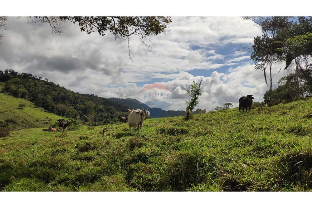 Chácara / Sítio / Fazenda - Venda - Jequié , Bahia - 34.jpg - 580731023-74