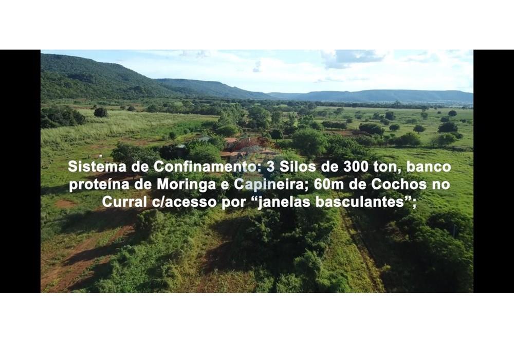 Fazenda - Venda - Wanderley , Bahia - WhatsApp Image 2026-03-24 at 17.30.02.jpeg - 580791016-28