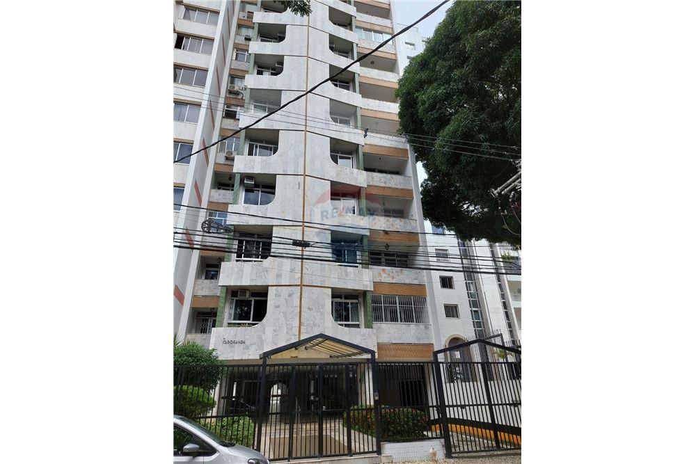 Apartamento - Canela