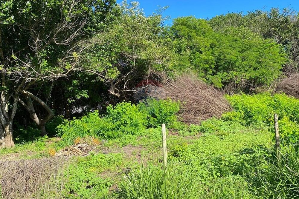 Terreno - Venda - Mata de São João , Bahia - 6e4d8562-a9ee-4c35-90e6-3e455cca8828.jpg - 580601014-63