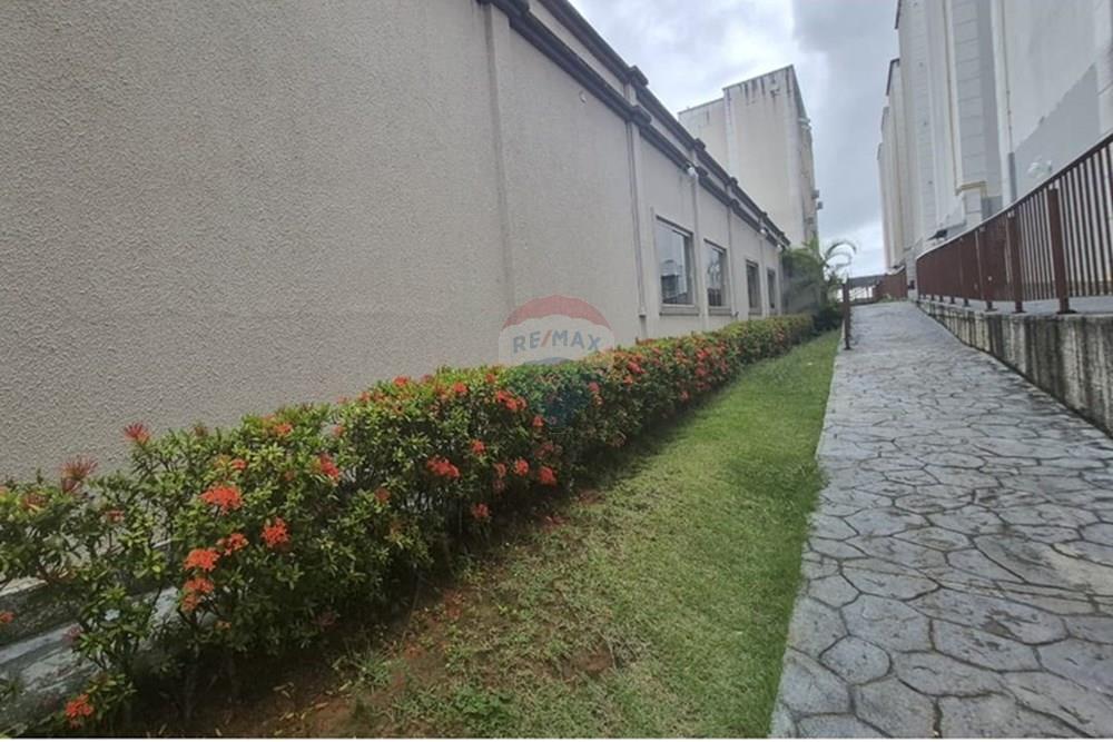 Apartamento - Venda - Camaçari , Bahia - Corredores Condominio.jpeg - 580881009-4