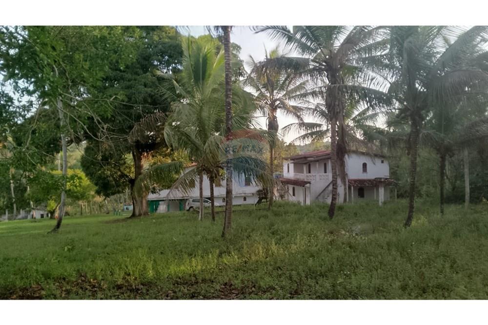 Chácara / Sítio / Fazenda - Venda - Alagoinhas , Bahia - WhatsApp Image 2025-11-09 at 19.24.50.jpeg - 580701044-55