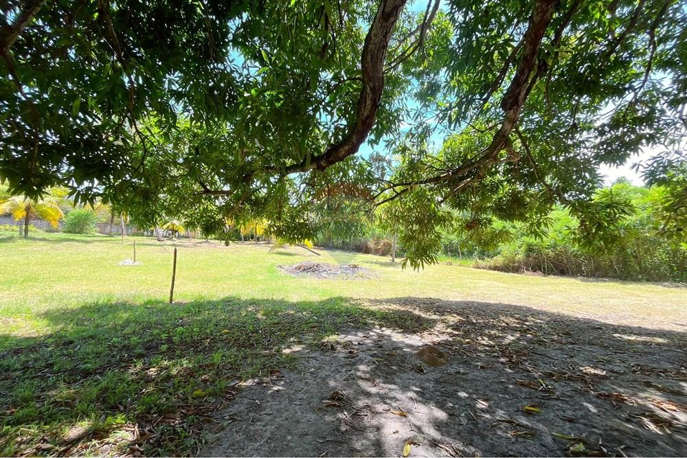 Terreno - Venda - Camaçari , Bahia - IMG_4751.jpg - 580491001-74