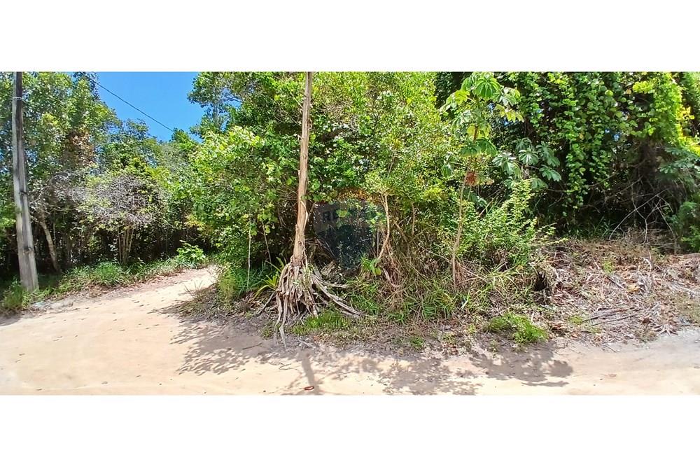 Terreno - Venda - Porto Seguro , Bahia - fotos (1).jpg - 580581006-62