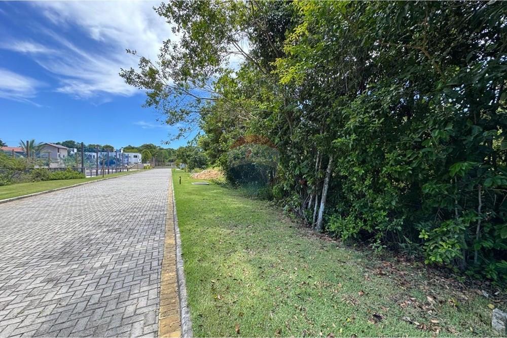 Terreno - Venda - Porto Seguro , Bahia - a3ec7994-0c70-4673-a43e-3ef9bb23e767 (3).jpeg - 580581002-140