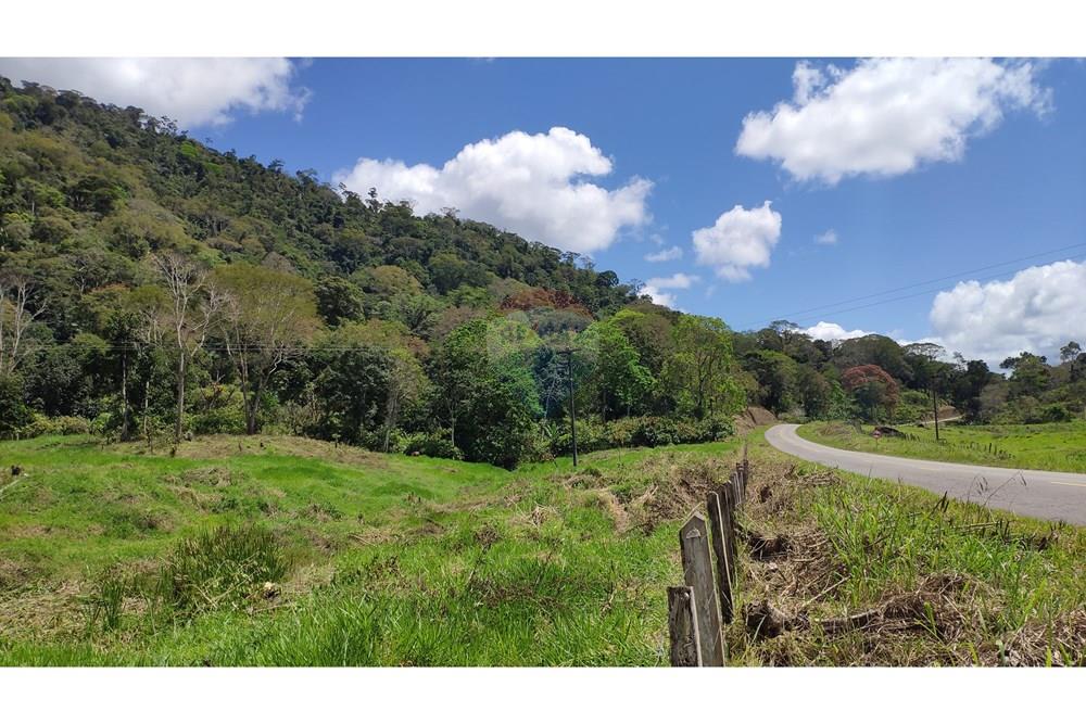 Chácara / Sítio / Fazenda - Venda - Jequié , Bahia - 12.jpg - 580731023-74