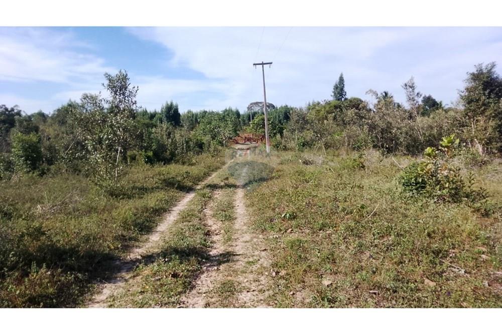 Chácara / Sítio / Fazenda - Venda - Alagoinhas , Bahia - WhatsApp Image 2025-11-09 at 19.23.26 (1).jpeg - 580701044-55