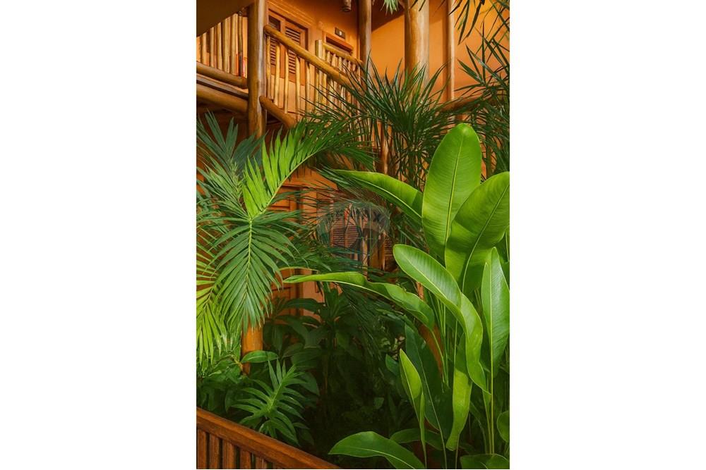 Casa - Venda - Maraú , Bahia - WhatsApp Image 2025-11-15 at 00.05.05.jpeg - 580531005-150