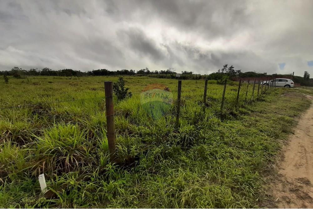 Terreno - Venda - Aramari , Bahia - WhatsApp Image 2025-08-07 at 17.06.41.jpeg - 580701044-29