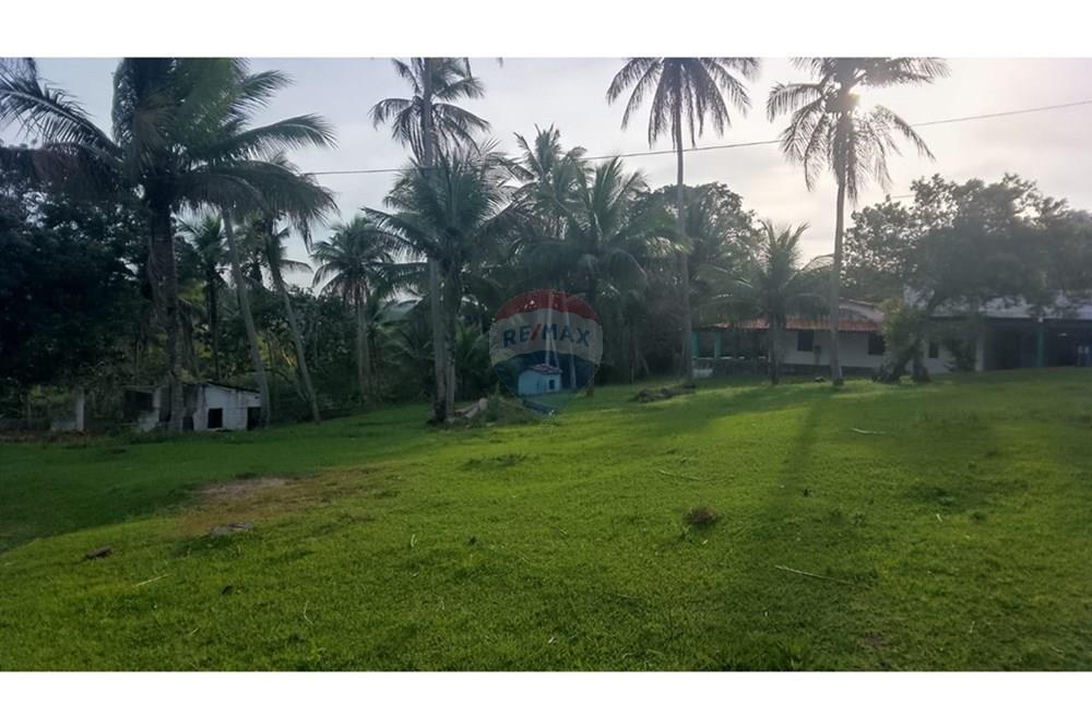 Chácara / Sítio / Fazenda - Venda - Alagoinhas , Bahia - WhatsApp Image 2025-11-09 at 19.24.52 (1).jpeg - 580701044-55