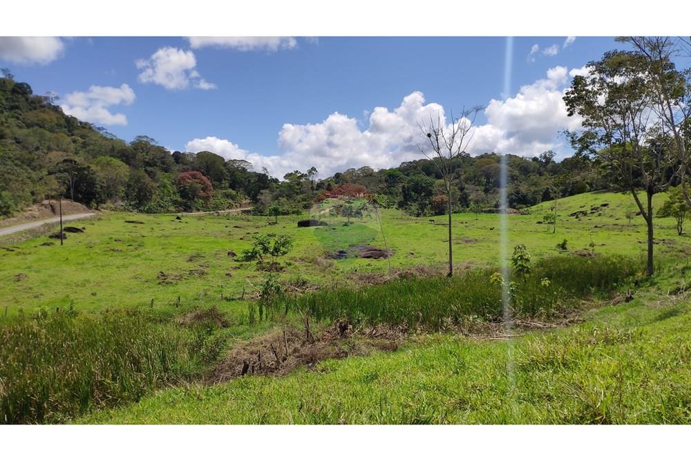 Chácara / Sítio / Fazenda - Venda - Jequié , Bahia - 14.jpg - 580731023-74