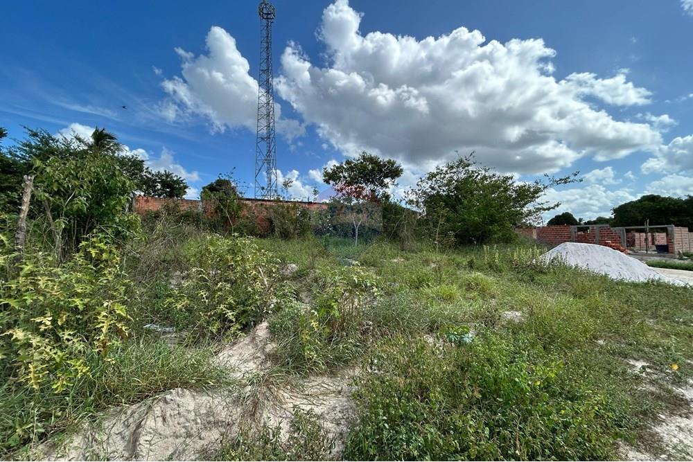 Terreno - Venda - Alagoinhas , Bahia - WhatsApp Image 2025-02-17 at 15.17.18.jpeg - 580701006-43